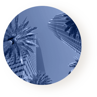 palm trees and buildings